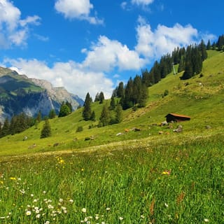 Alpenwiese mit Berghütten und Bergen im Hintergrund.