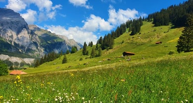 Alpenwiese mit Berghütten und Bergen im Hintergrund.