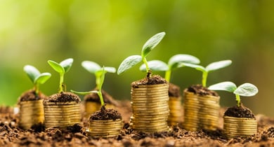 Finanzielle Nachhaltigkeit