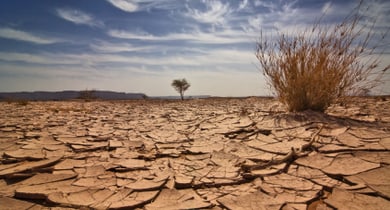 Klimawandel Trockenheit