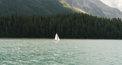 Unsplash_Joao Branco