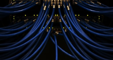 Mehrere blaue Kabel, die in einen Server eingesteckt sind.