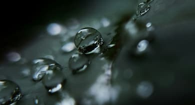 Nahaufnahme von Wassertropfen auf Blatt.