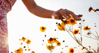 Nachhaltigkeitsreport2022