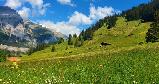Alpenwiese mit Berghütten und Bergen im Hintergrund.
