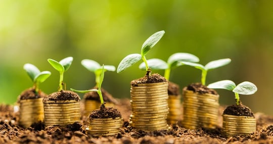 Finanzielle Nachhaltigkeit