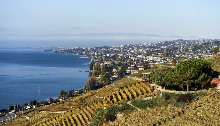 Lavaux