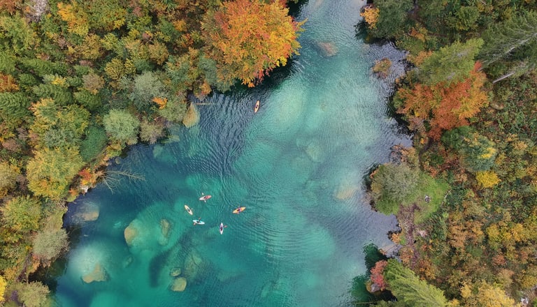 Titelbild Nachhaltigkeitsreport 2024