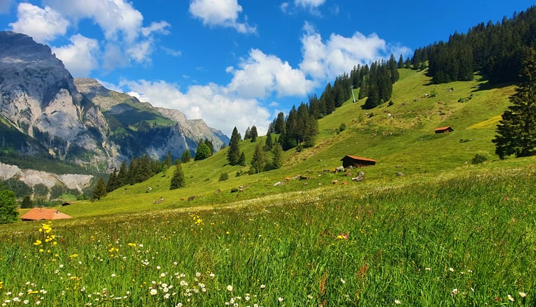 Alpenwiese mit Berghütten und Bergen im Hintergrund.