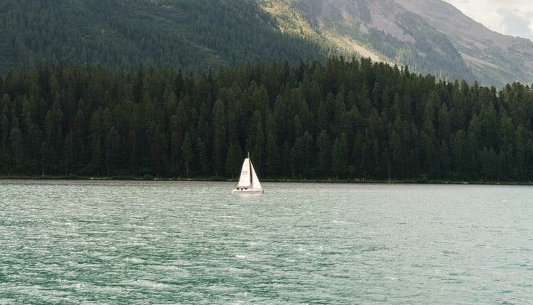 Unsplash_Joao Branco