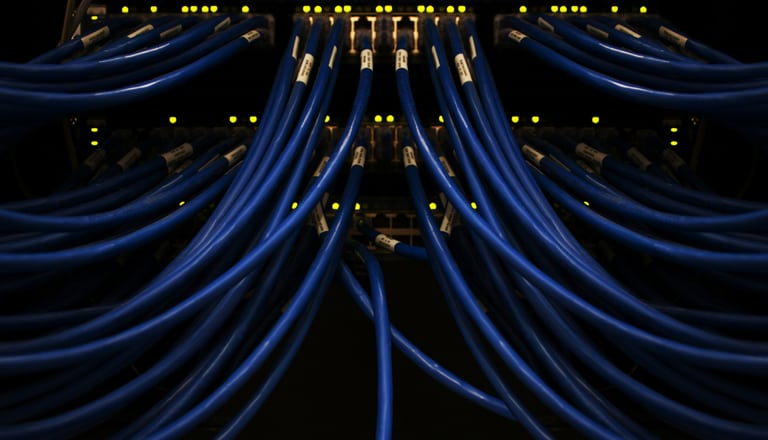 Mehrere blaue Kabel, die in einen Server eingesteckt sind.