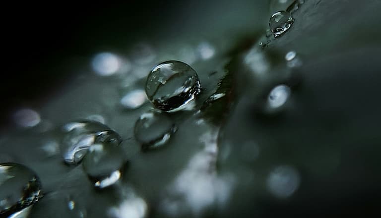 Nahaufnahme von Wassertropfen auf Blatt.