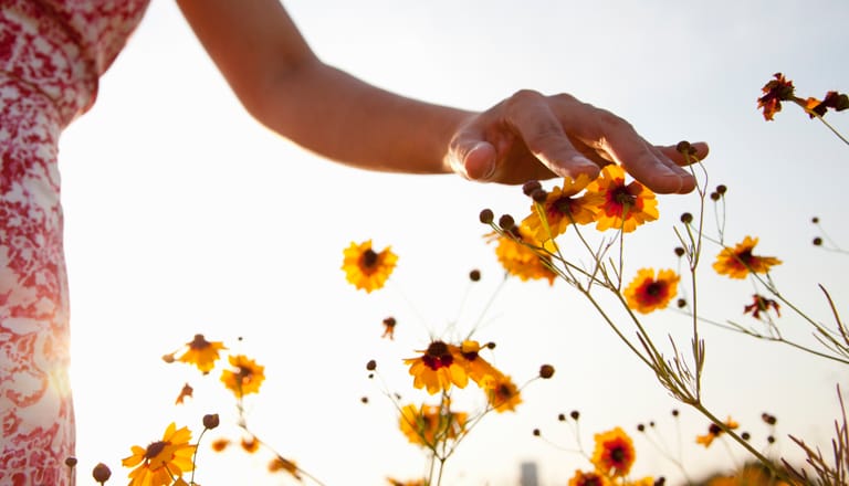 Nachhaltigkeitsreport2022