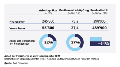 Diagramm über den Anteil der Versicherer an der Finanzbranche 2024 in der Schweiz.
