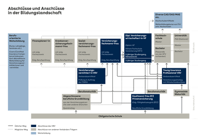 Grafik Bildungswelt VBV